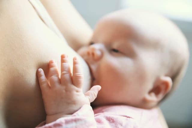 Anne Sütünün İçeriğini Merak Ediyor Musunuz? image
