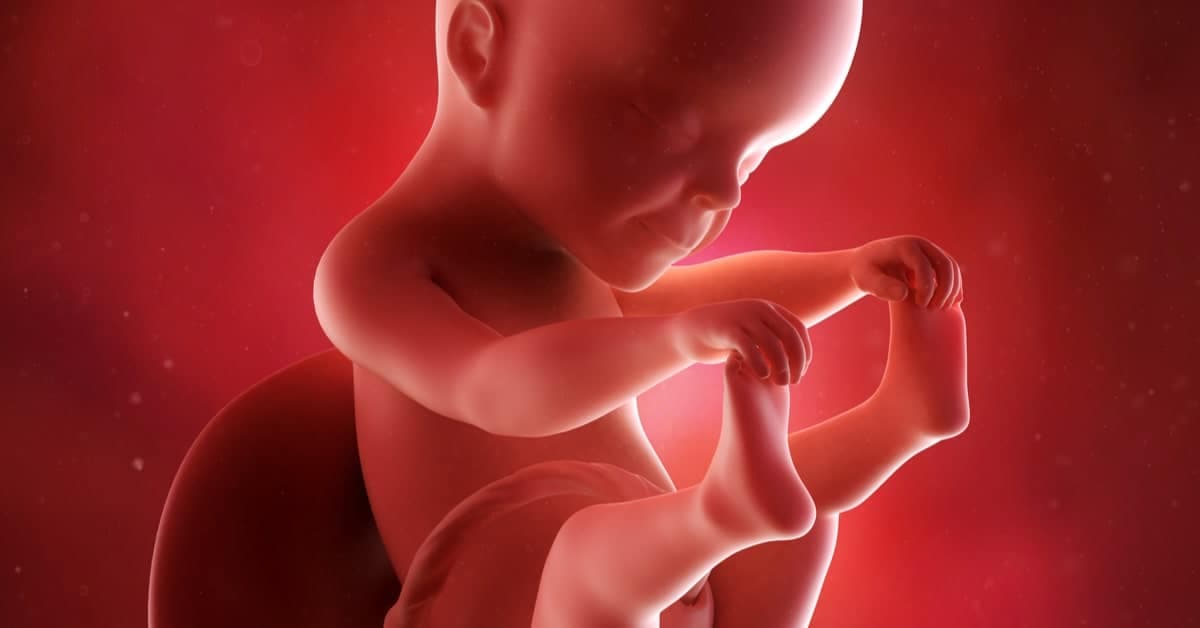 Gebeliğin 25. Haftasında Sizi ve Bebeğinizi Neler Bekliyor? kapak resmi