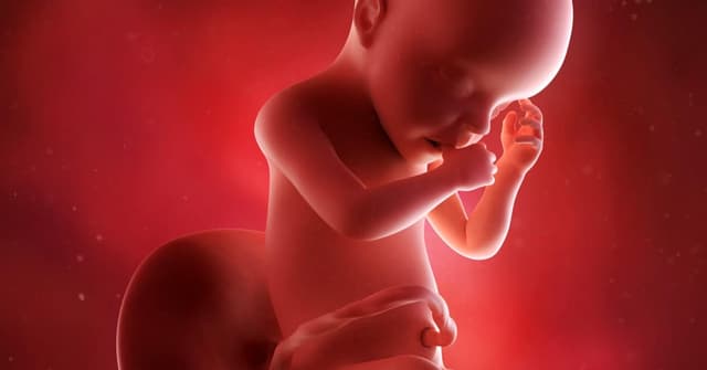 30 Haftalık Gebelikte Bebeğinizde ve Sizde Neler Değişiyor? image