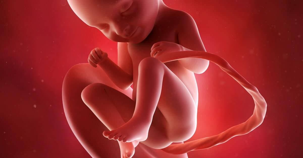 33 Haftalık Gebelikte Bebeğinizin ve Sizin Gelişimi: Bilmeniz Gereken Her Şey kapak resmi