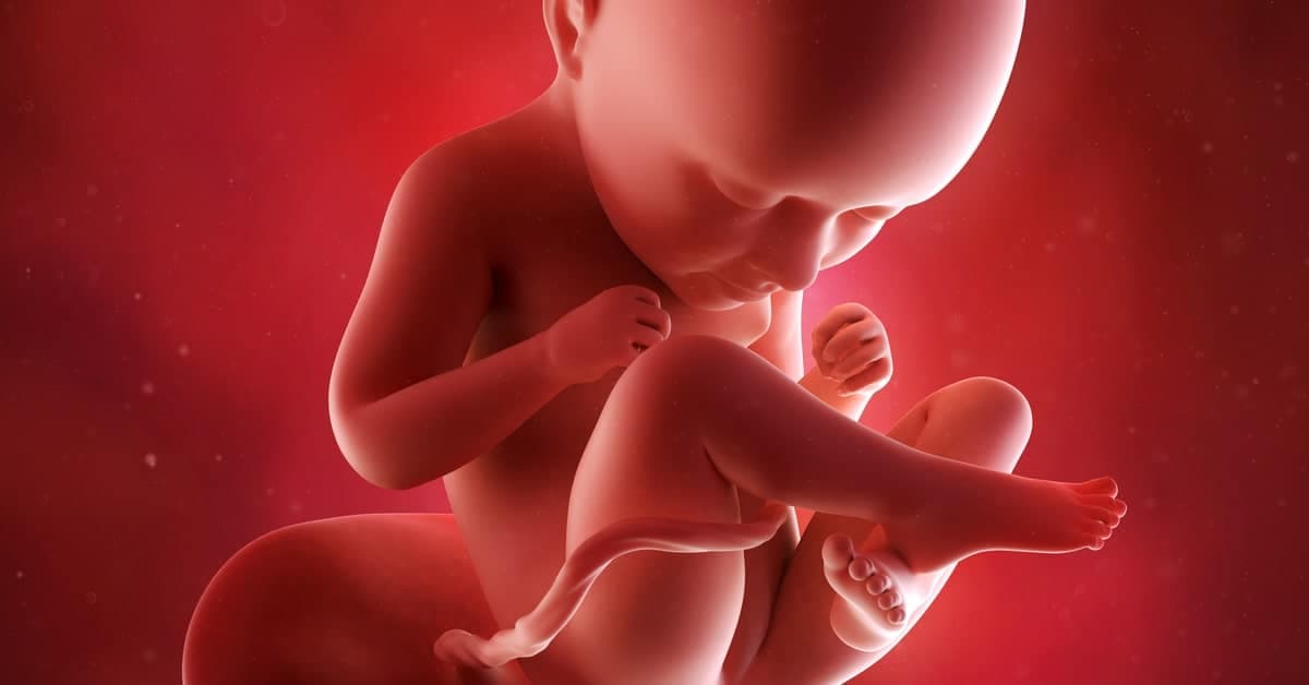 35 Haftalık Gebelikte Bebeğin ve Annenin Gelişimi kapak resmi