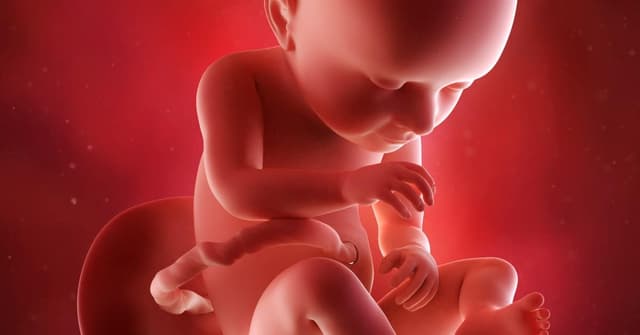 37 Haftalık Gebelikte Bebek ve Anne Vücudundaki Değişimler image