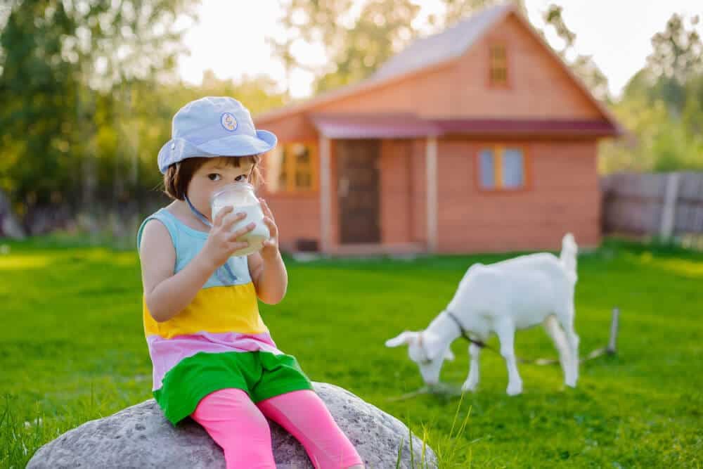 Bebeğinize Keçi Sütü Vermeniz İçin 5 Neden! kapak resmi