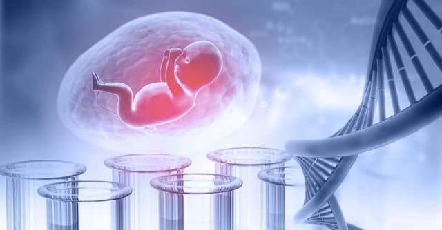 Fetal DNA Testi Nedir? Neden Yapılır? image