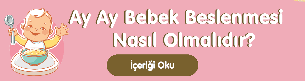 ay-ay-bebek-beslenmesi