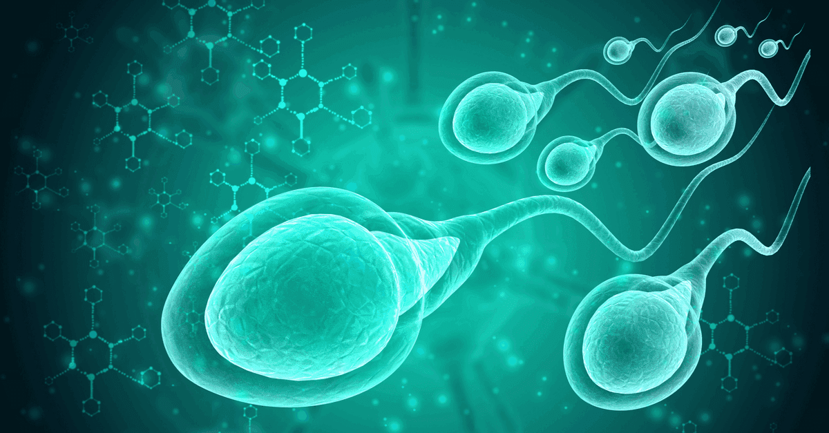 Sperm Testi Nasıl Yapılıyor? kapak resmi