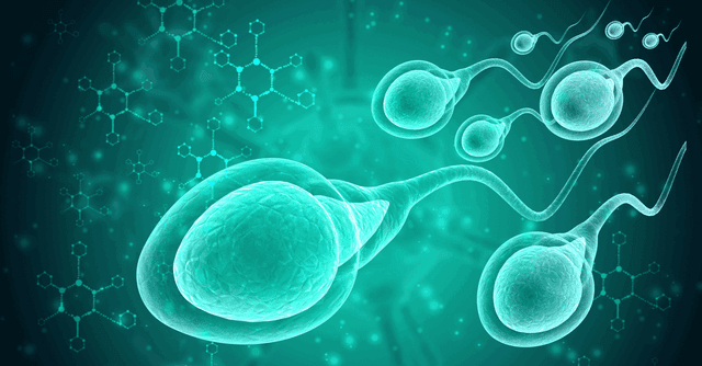 Sperm Testi Nasıl Yapılıyor? image