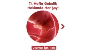 11-hafta-gebelik-hakkinda-hersey