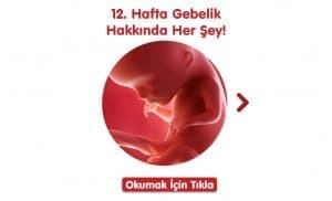 12-hafta-gebelik-hakkinda-hersey