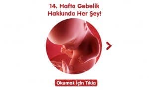 14-hafta-gebelik-hakkinda-hersey