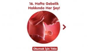 16-hafta-gebelik-hakkinda-hersey