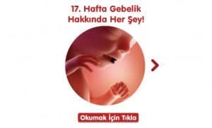 17-hafta-gebelik-hakkinda-hersey