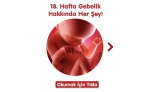 18-hafta-gebelik-hakkinda-hersey