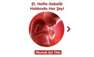21-hafta-gebelik-hakkinda-hersey