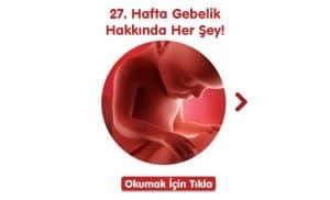 27-hafta-gebelik-hakkinda-hersey