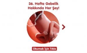 36-hafta-gebelik-hakkinda-hersey