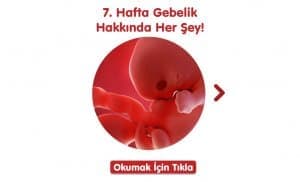 7-hafta-gebelik-hakkinda-hersey
