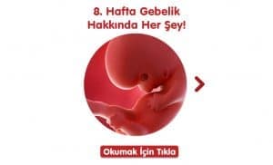 8-hafta-gebelik-hakkinda-hersey