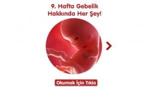 9-hafta-gebelik-hakkinda-hersey