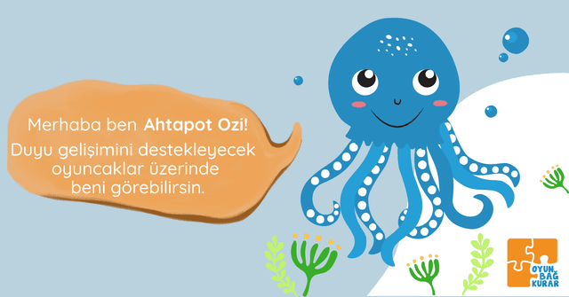 Ahtapot Ozi ile Duyu Gelişimi image