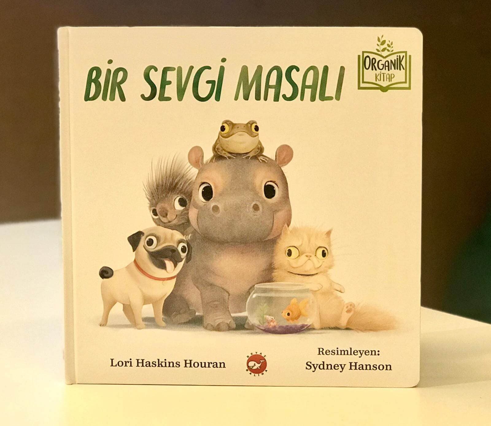 Anne ve Anne Adaylarına 3 Kitap Önerisi!