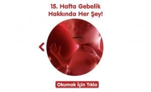 gebelikte-15-hafta