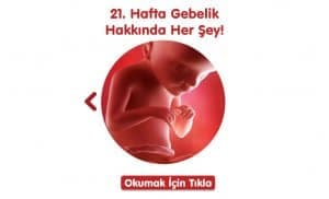 gebelikte-21-hafta