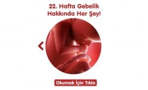 gebelikte-22-hafta