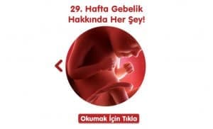 gebelikte-29-hafta