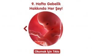 gebelikte-9-hafta