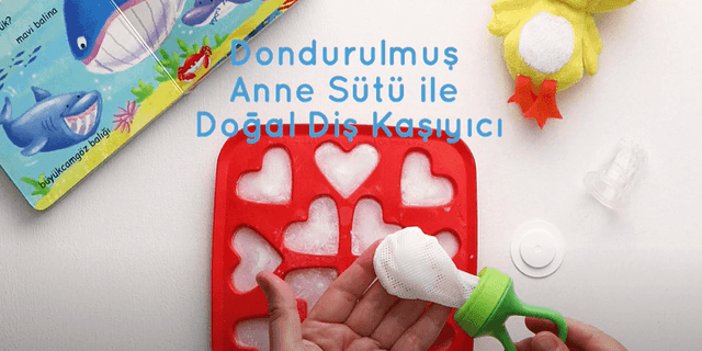 Anne Sütünden Doğal Diş Kaşıyıcı image