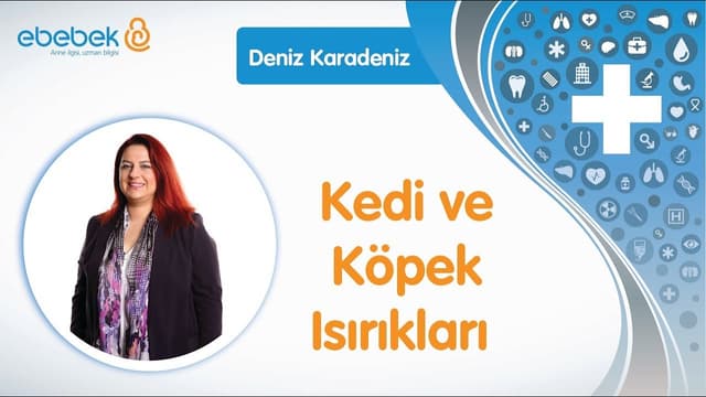 Bebeklerde Köpek Isırdığında Neler Yapmalı? - Deniz Karadeniz Bebekler İçin İlk Yardım image