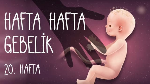 Hafta Hafta Gebelik 20. hafta image