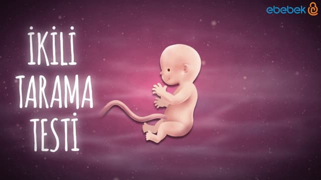 Hafta Hafta Gebelik 12. hafta image