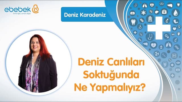 Bebeği Deniz Canlılarının Sokması Durumunda Neler Yapmalı? - Deniz Karadeniz Bebekler İçin İlk Yardım image