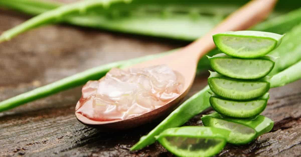 Aloe Vera'nın 7 Faydası! kapak resmi