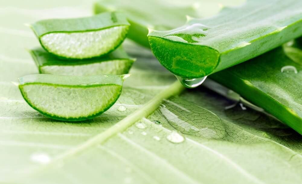 Aloe Vera'nın 7 Faydası!