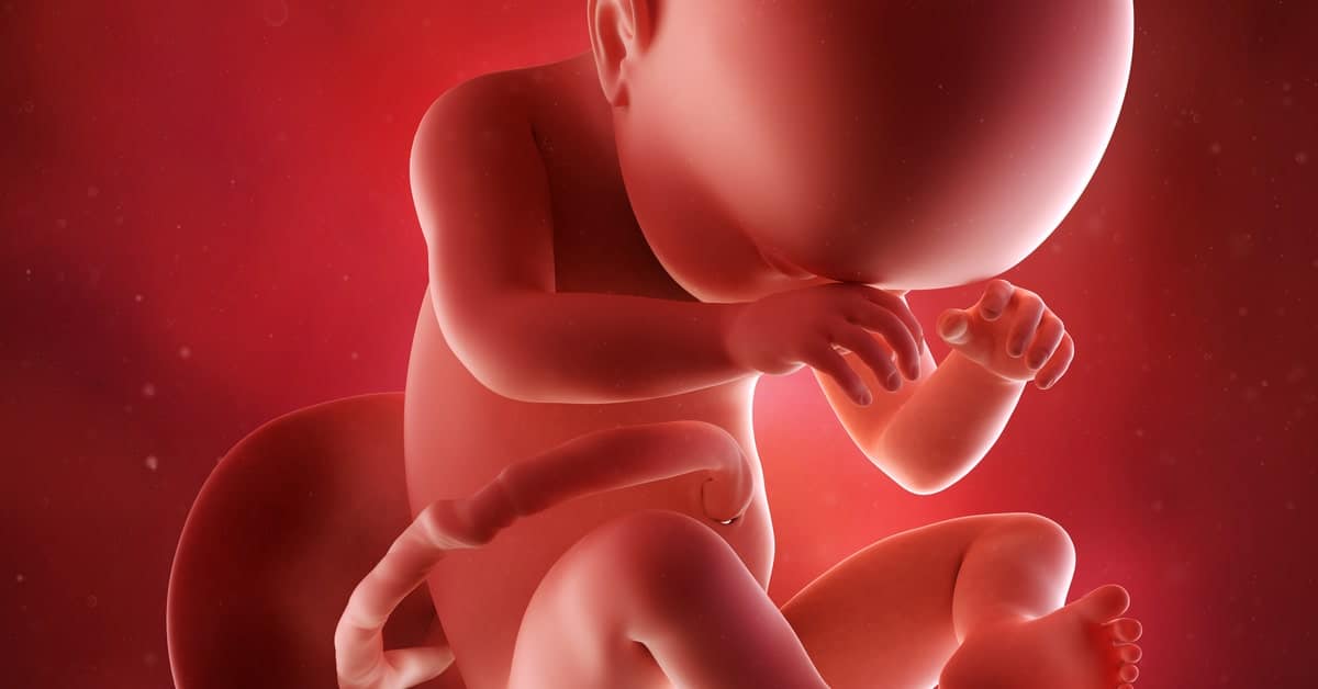 38 hafta gebelik anne ve bebekteki degisimler