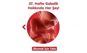 38 hafta gebelik anne ve bebekteki degisimler