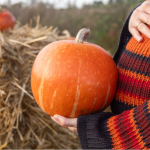 bebbegim-hafta-hafta-hangi-meyveye-benziyor