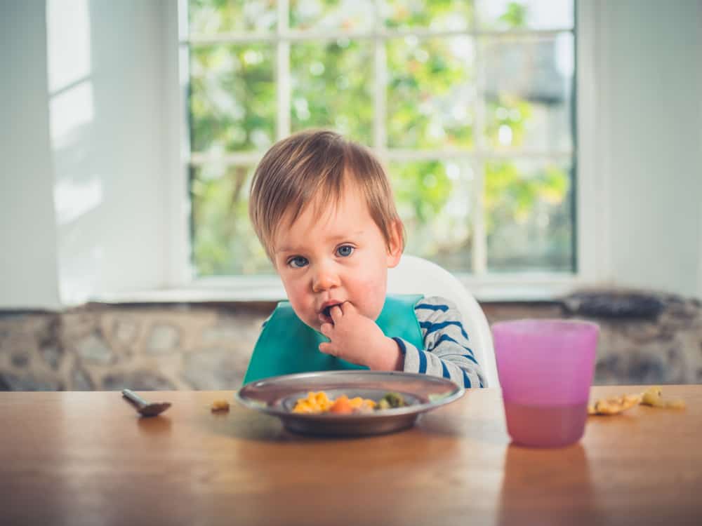 Understanding the BLW Baby Led Weaning Method 101: The Ultimate Guide 3 baby - supplementary food