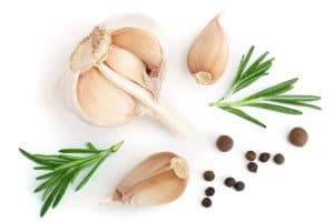 6 Super Foods That Help You Get Pregnant Fast (2023 Updated) 6 garlic