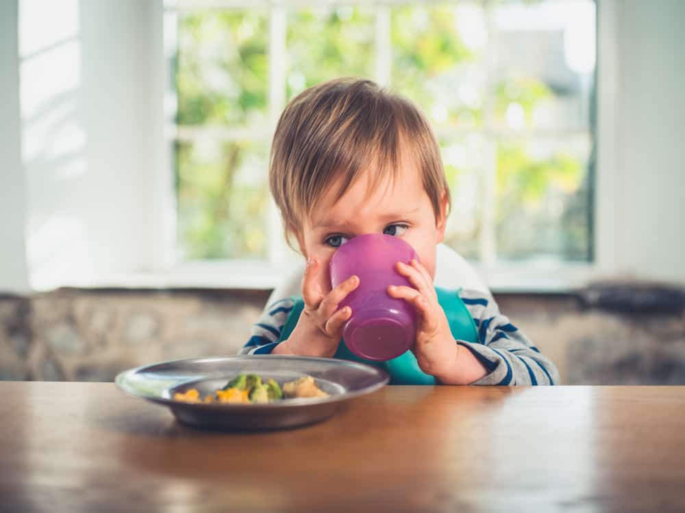 Understanding the BLW Baby Led Weaning Method 101: The Ultimate Guide 4 blw (2)