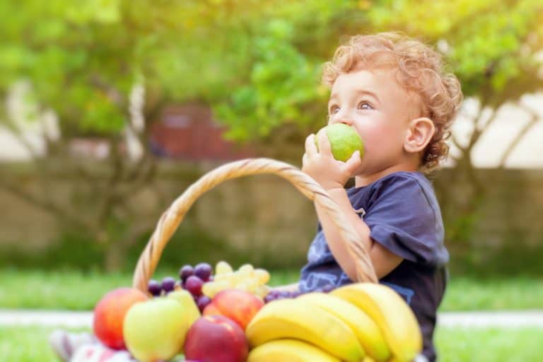 Ek Gıdaya Geçişte Verilebilecek Sebze ve Meyve Listesi Ek Gıdaya Geçişte Verilebilecek Sebze ve Meyve Listesi