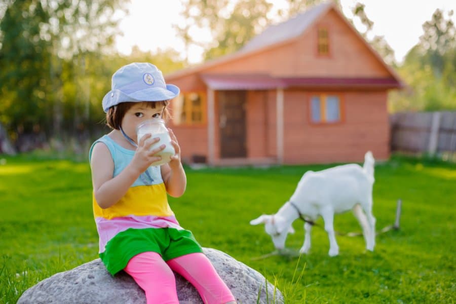 Bebeğinize Keçi Sütü Vermeniz İçin 5 Neden! Bebeğinize Keçi Sütü Vermeniz İçin 5 Neden!