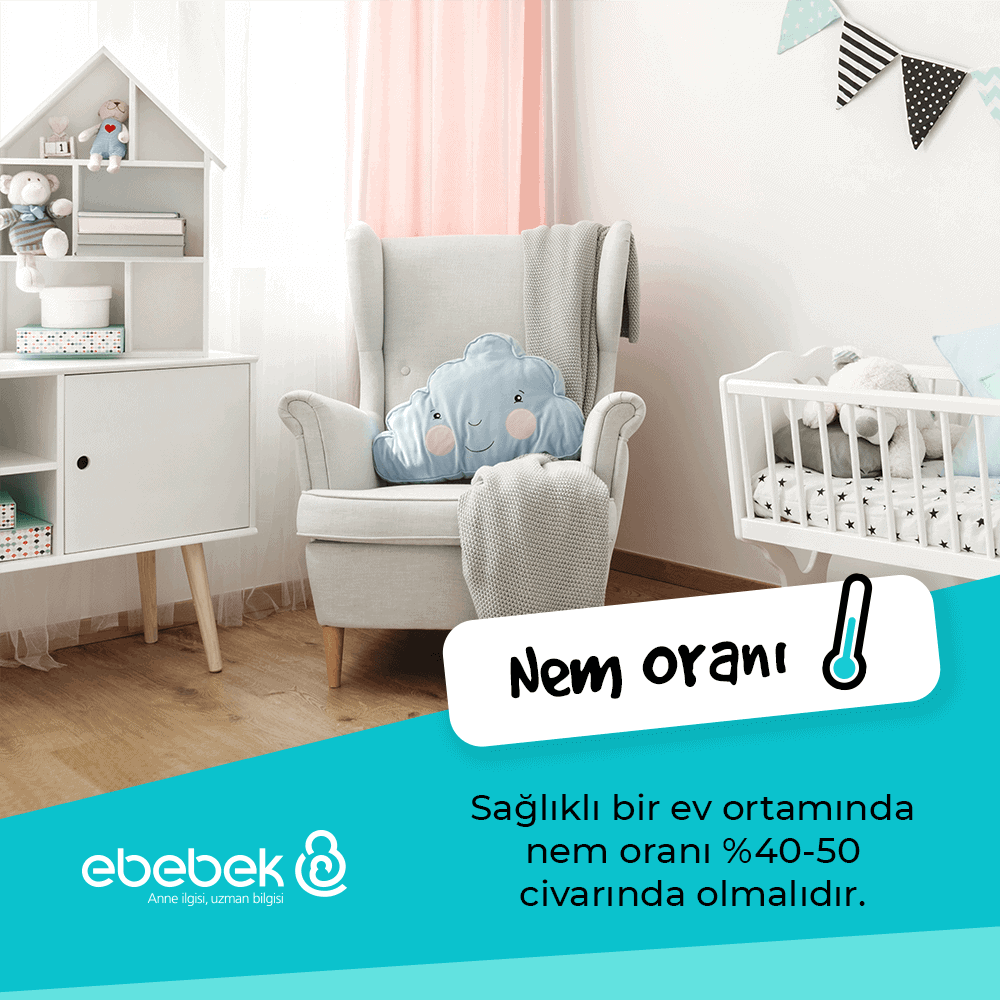 Buhar Makinesi Ne İşe Yarar?