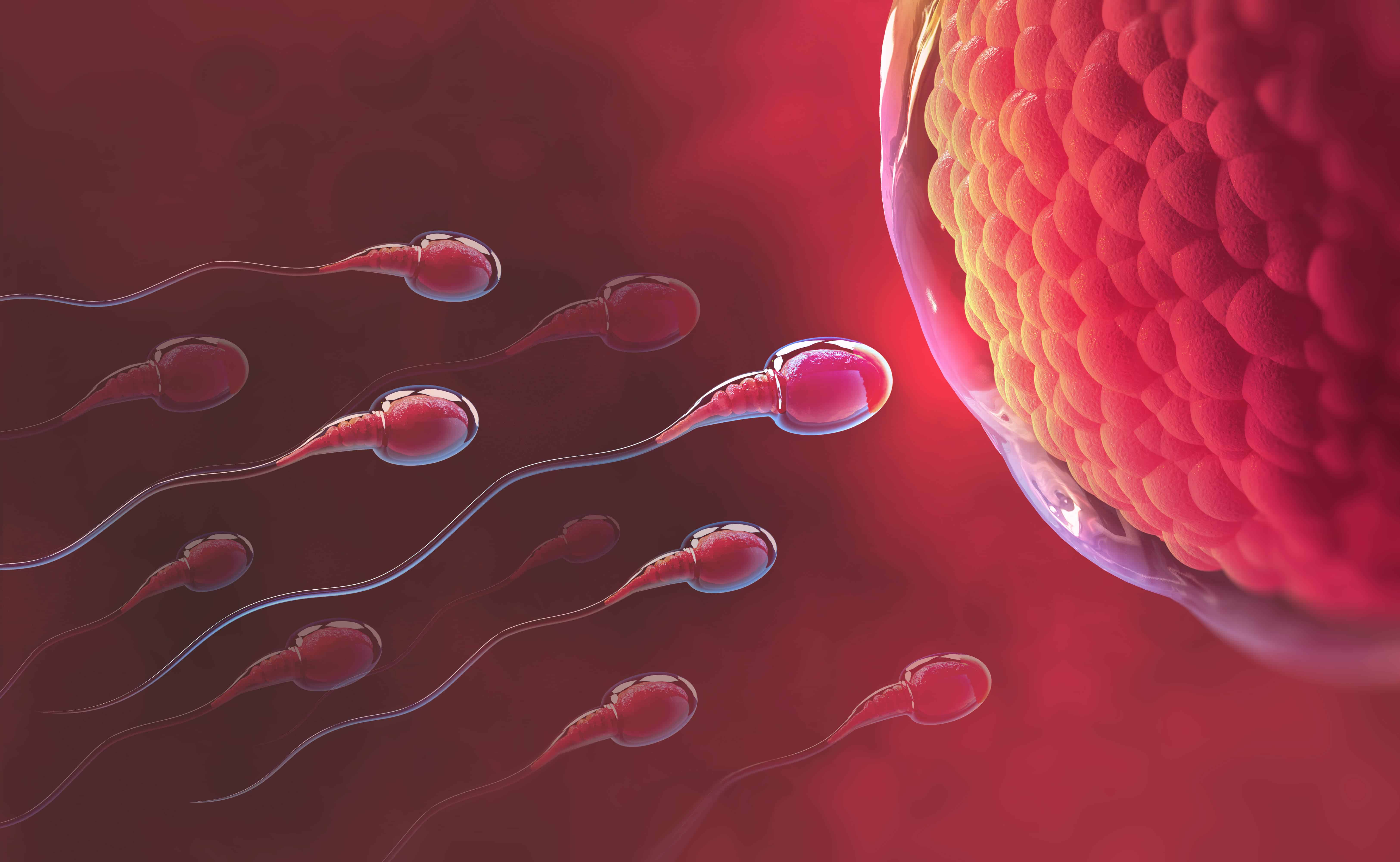 sperm olmamasının sebepleri nelerdir