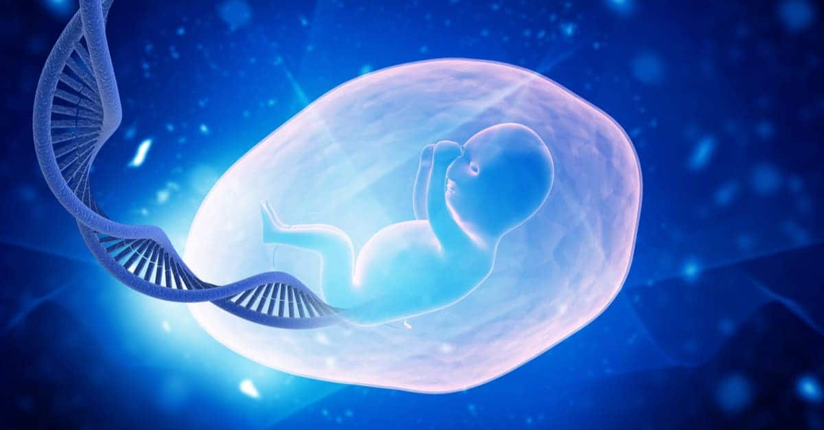 Fetal DNA Testi Nedir? Neden Yapılır?