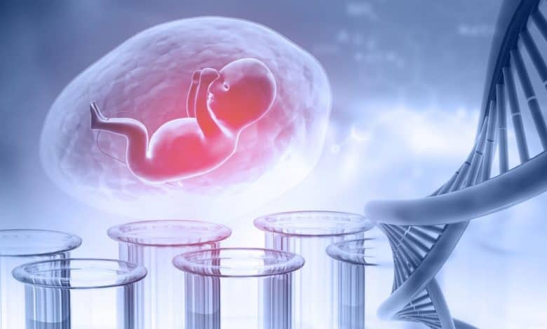 fetal dna testi nedir-neden yapilir