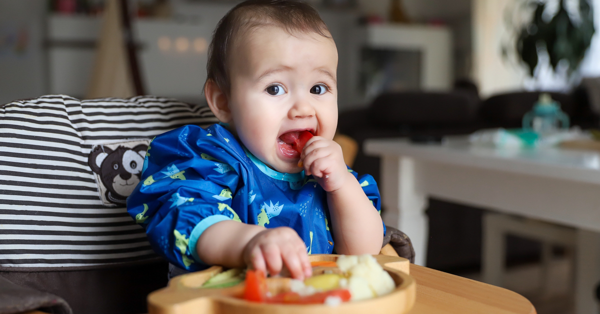 Bebek Beslenmesi İçin Organik Gıda Kullanmanın Önemi